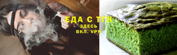индика Ладушкин