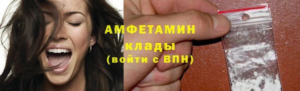 индика Ладушкин