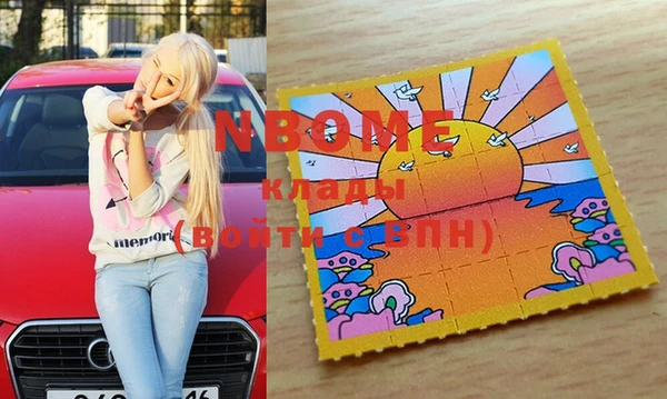 индика Ладушкин