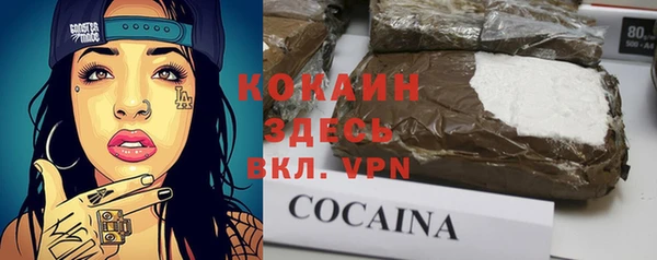 индика Ладушкин