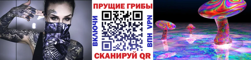 Псилоцибиновые грибы Cubensis  мориарти формула  Малгобек 