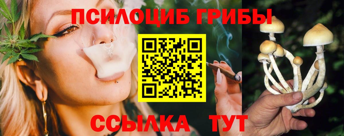 Малгобек  Галлюциногенные грибы мухоморы  Вход с VPN 