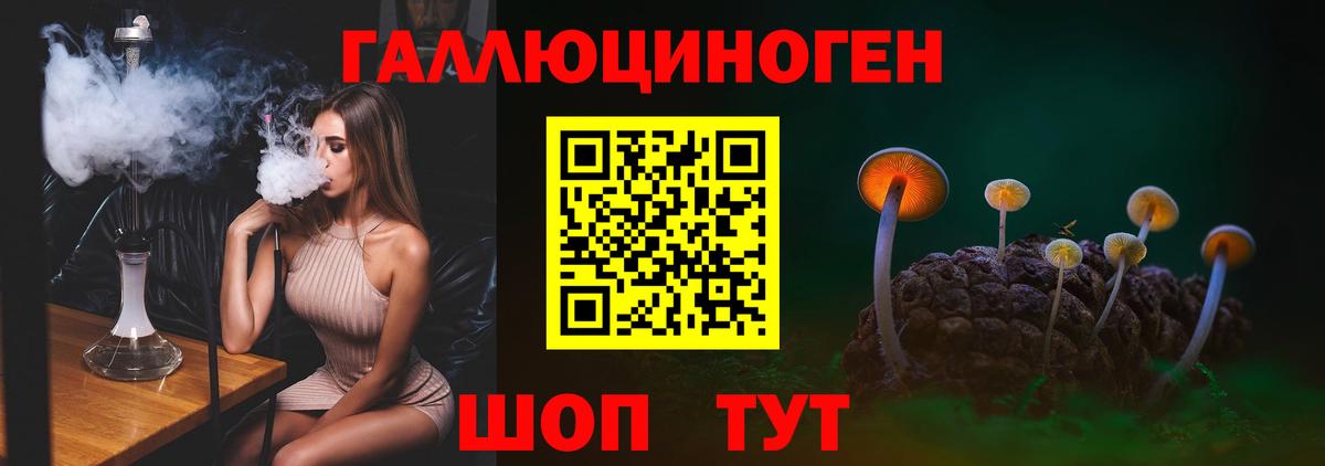 Галлюциногенные грибы Cubensis  купить наркотик  Малгобек 